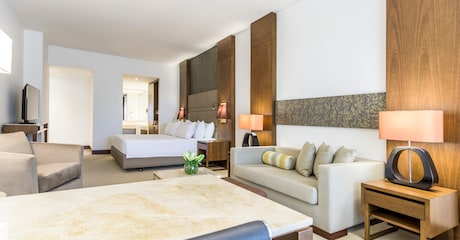 Room Habitación Premium